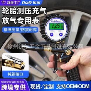 Rui'er Tire Pressure Gauge Air Pressure Gauge Car Tire Pressure Gauge Tire Monitoring Tool Digital Display Inflation Pump Gauge