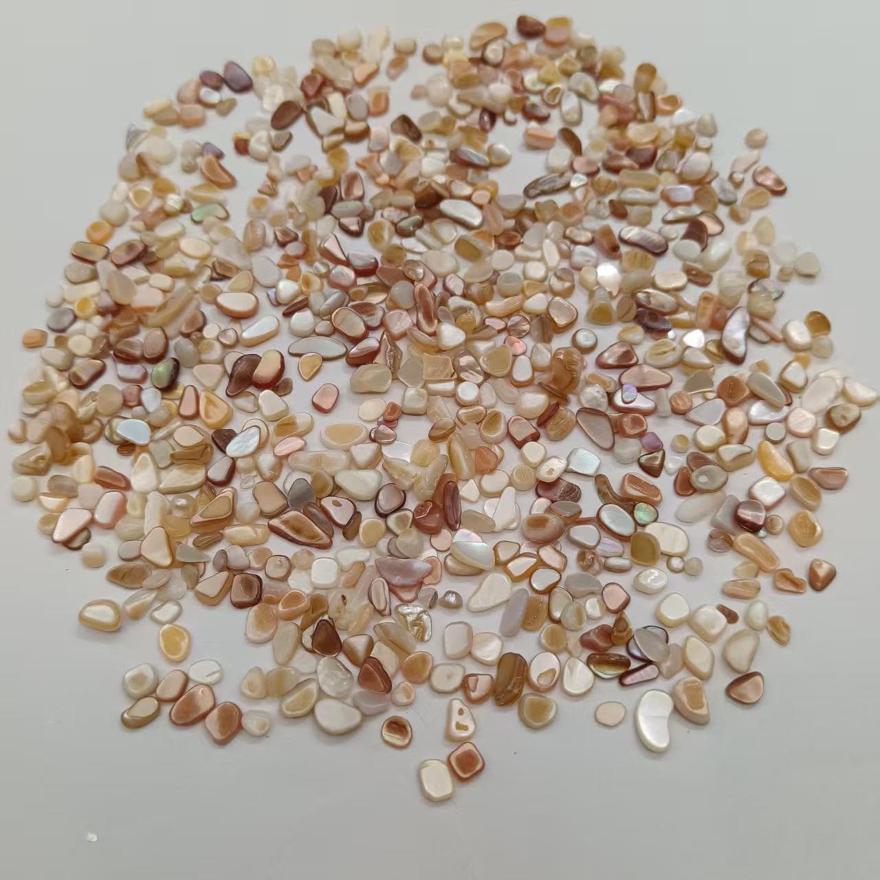 500g shell stone shell flakes terrazzo floor material floor aggregate shell gravel shell flakes
