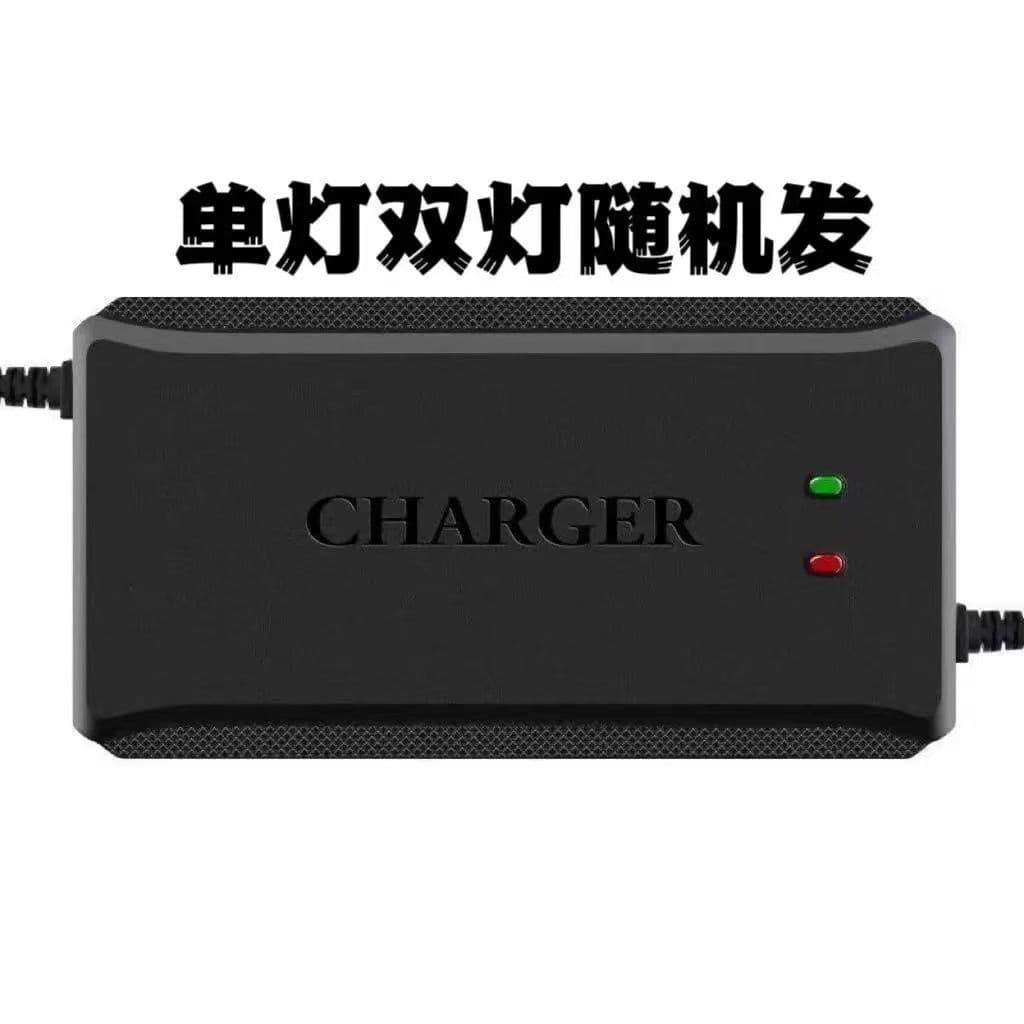 Lead-Acid Battery Charger Pulse for Electric Vehicles 24V 48V 60V 72V