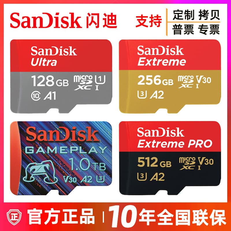 SanDisk TF3 2GB, 64GB, 512GB, 1TB high-speed SD card for surveillance cameras, recorders, and mobile phones (128GB).