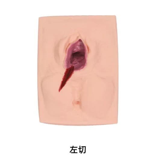 Female Episiotomy Suture Training Model Lateral Episiotomy Suture Surgery Model Vulvar Suture Practice Model