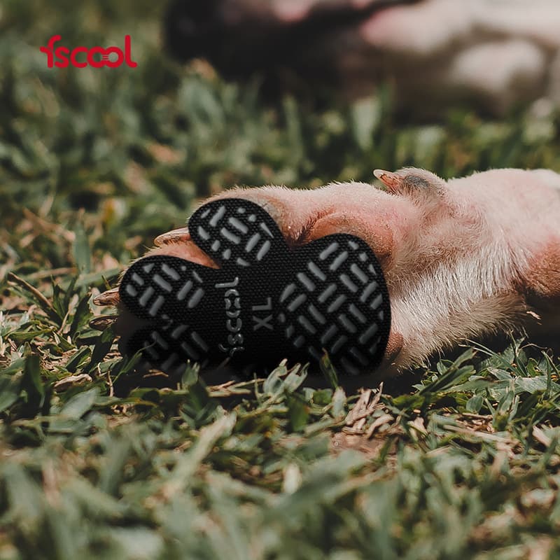 New Waterproof Dirt-resistant Pet Shoe Stickers Breathable Summer Casual Dog Shoe Insoles Teddy Dog Shoes
