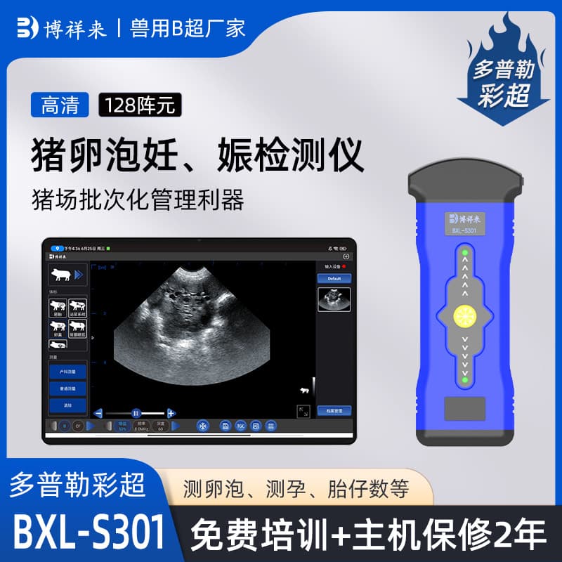 B-ultrasound detects sow follicles; smart AI measures the number of pig follicles with one click, data uploadable; pig follicle measurement.