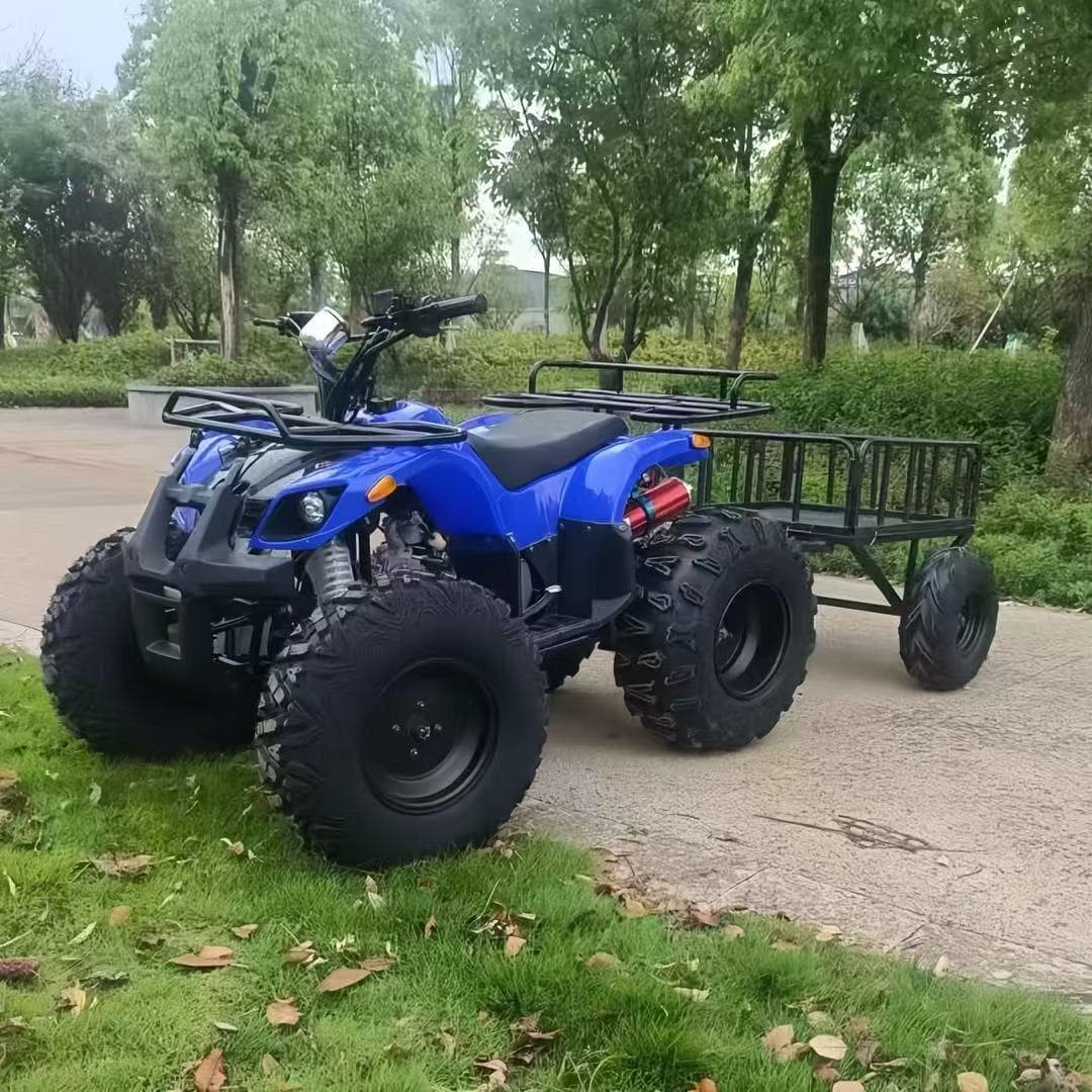 ATV Manufacturer Direct Sale 125cc Small Bull with Shake Adult Beach Motorcycle Four-Wheel All-Terrain Mountain Farmer Vehicle