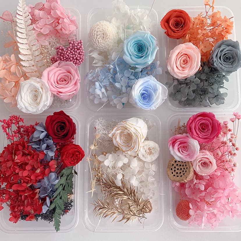 Dried Flower, Preserved Flower DIY Material Kit, Glass Dome Gift Photo Frame, Round Fan Floral Art Class Team Building Salon, Everlasting