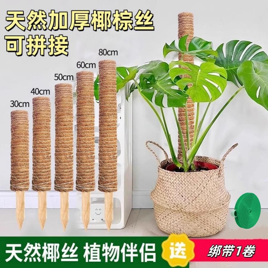 Coir Stick Pole Monstera Coir Pole Stick Climbing Large Green Plant Support Frame Pothos Support Rod Stand