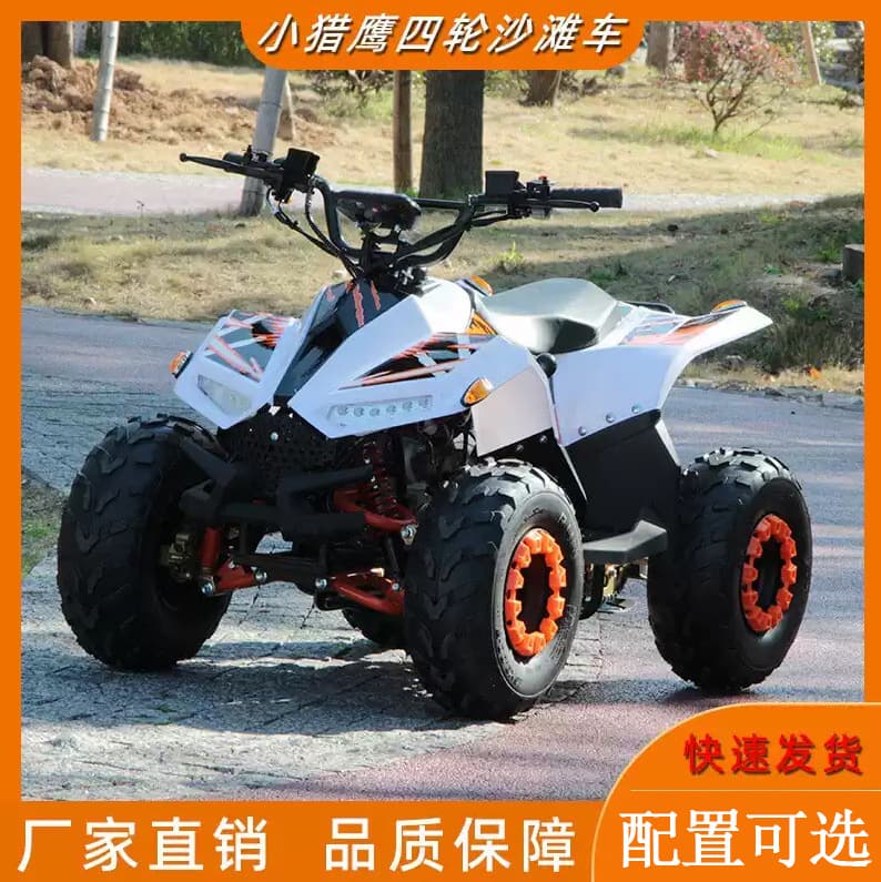 125CC Four-Wheel ATV Off-Road Motorcycle Mini Falcon Kids Electric All-Terrain Vehicle Gasoline ATV