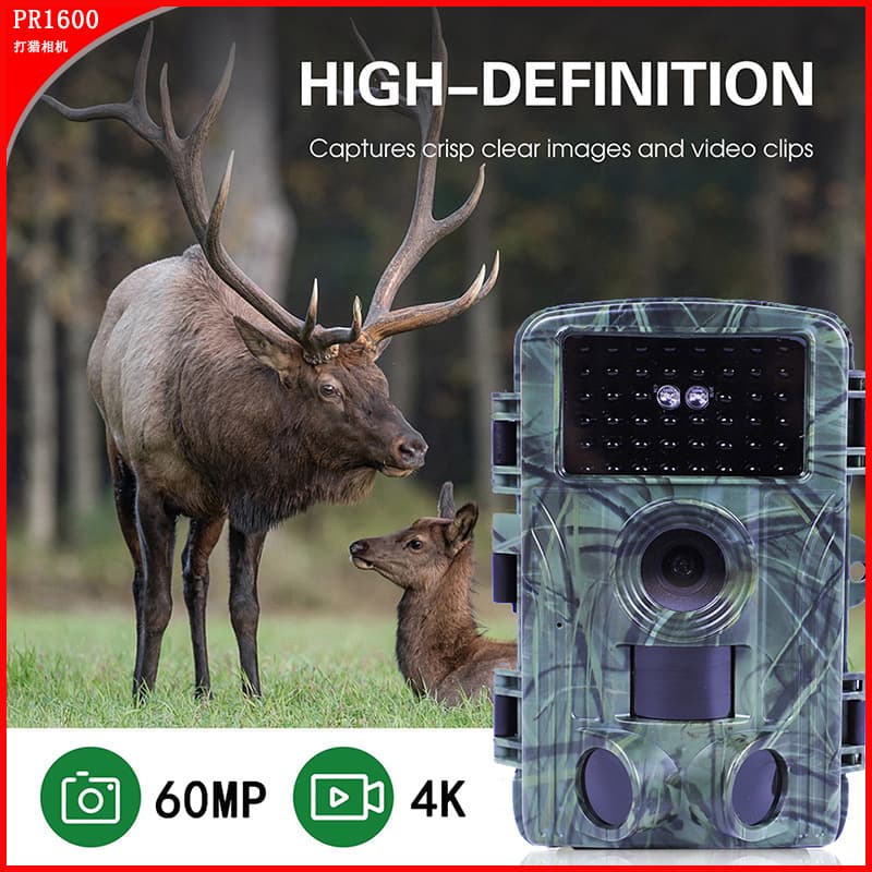 High Definition Infrared Hunting Camera 4K WiFi Outdoor Camera Screen Field Recording Safety Surveillance
