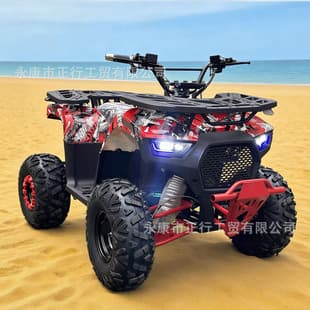 Electric Beach Buggy Four-Wheel Off-Road Motorcycle 500W 750W 1000W Rear Drive 60V Shaft Drive Adult ATV