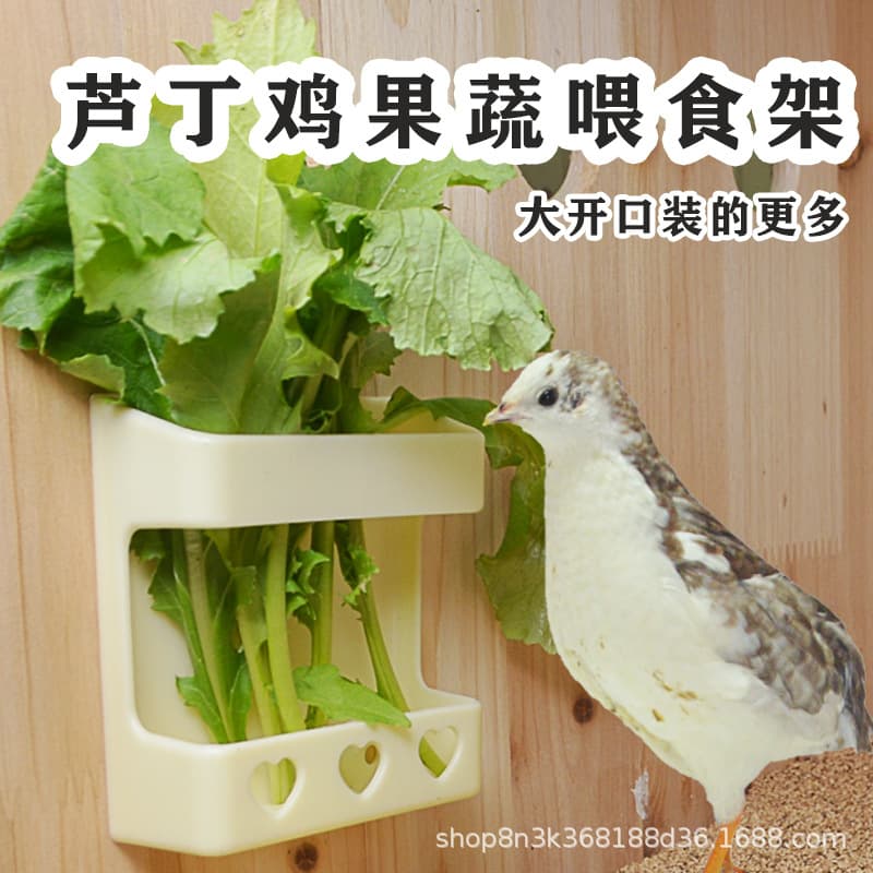 Rutin chicken vegetable rack quail feeder fruit clip fork food basin feed box trough chicken feeding supplies