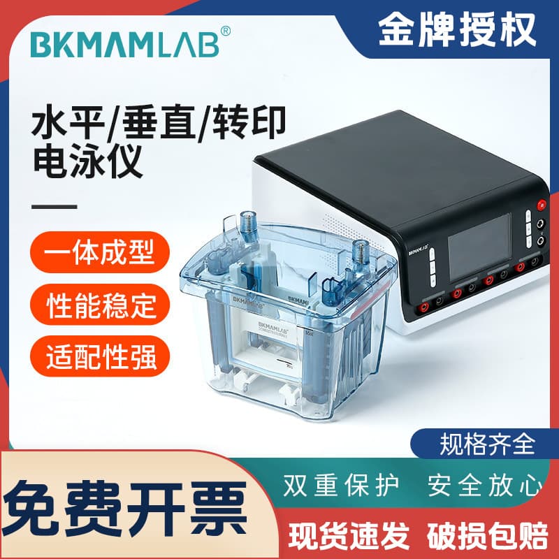 Beckman Biotech Horizontal and Vertical Electrophoresis System, Gel WB Transfer Tank with Blue Light Power for Nucleic Acid and Protein Detection