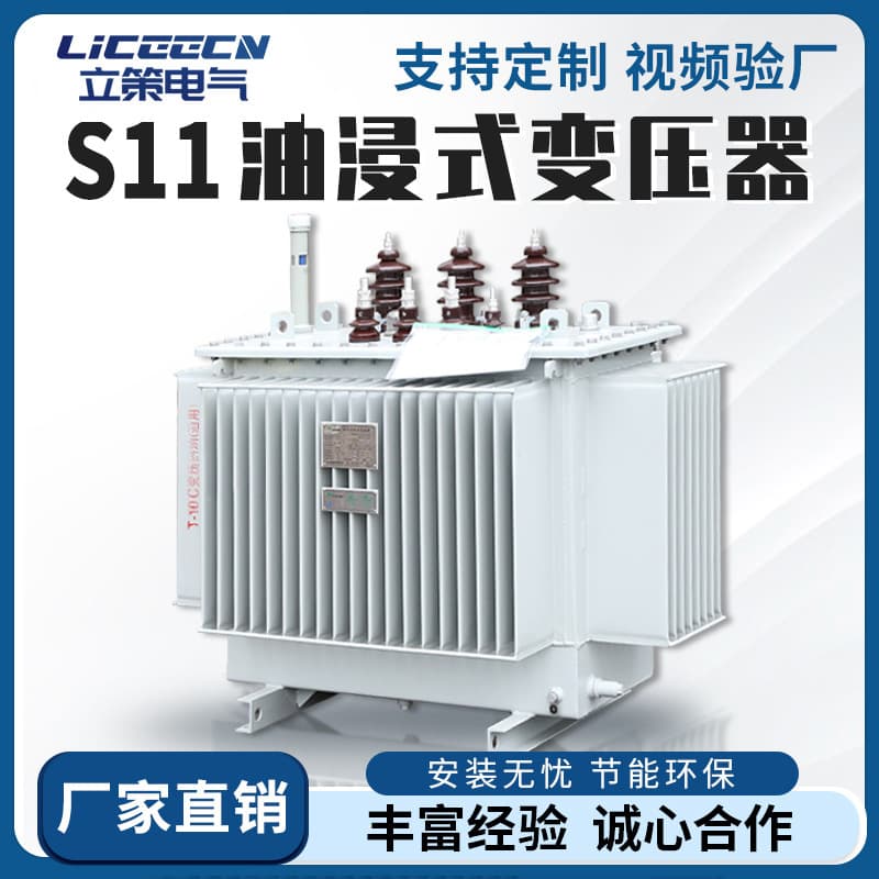 S11-250/630kVA Oil-Immersed Transformer 10kV Copper/Aluminum Outdoor Pole-Mounted High Voltage Three-Phase Power Transformer