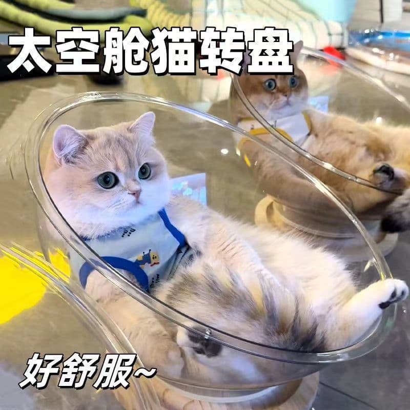 Cat Bed Pet Nest Turntable Cat Toy Cat House Space Capsule Semi-Enclosed Cat Sofa Four-Season Universal Cat Bed Supplies