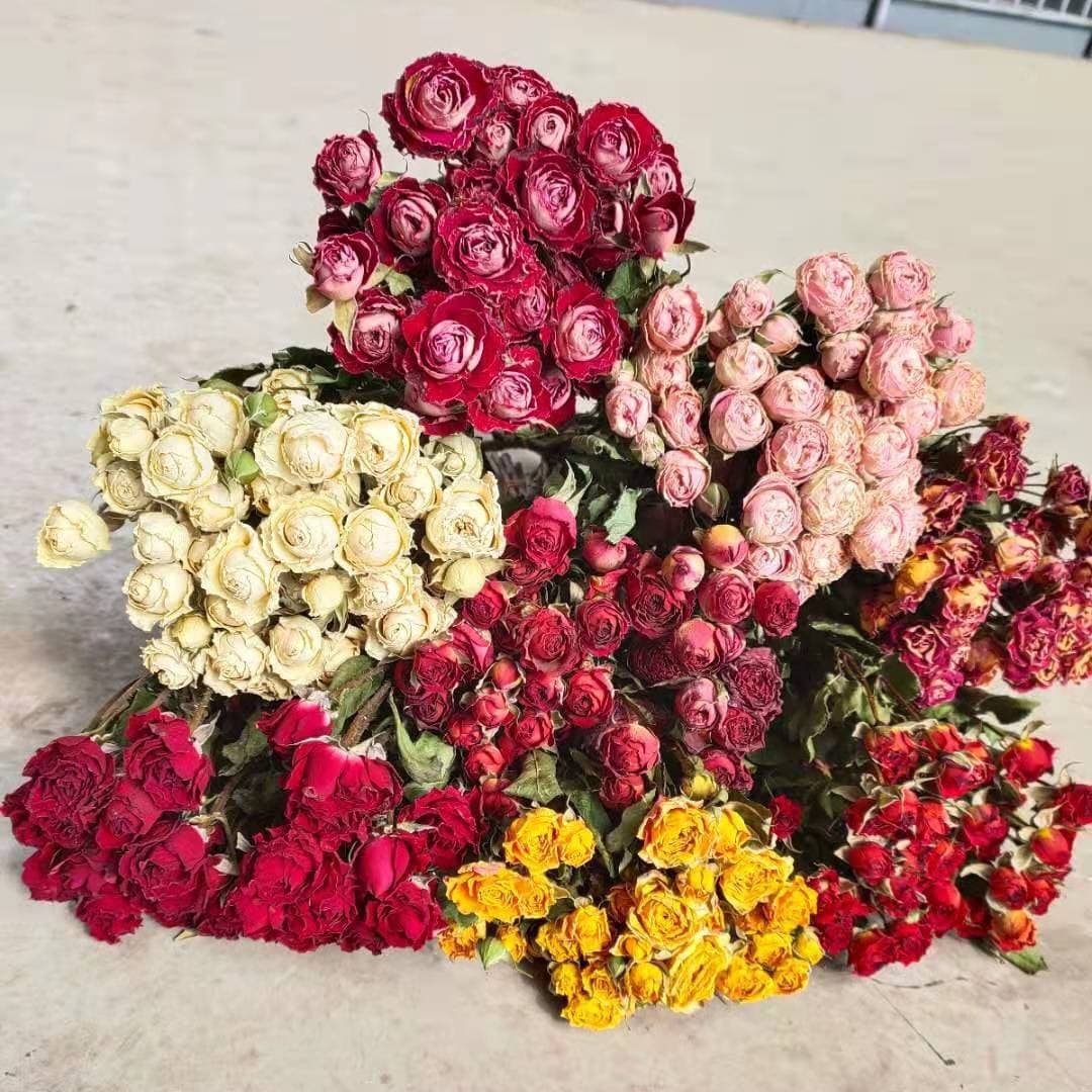 Multi-Head Mini Dried Rose Flowers - Single Head Rose, Rose, Bubble, Dried Rose Wholesale