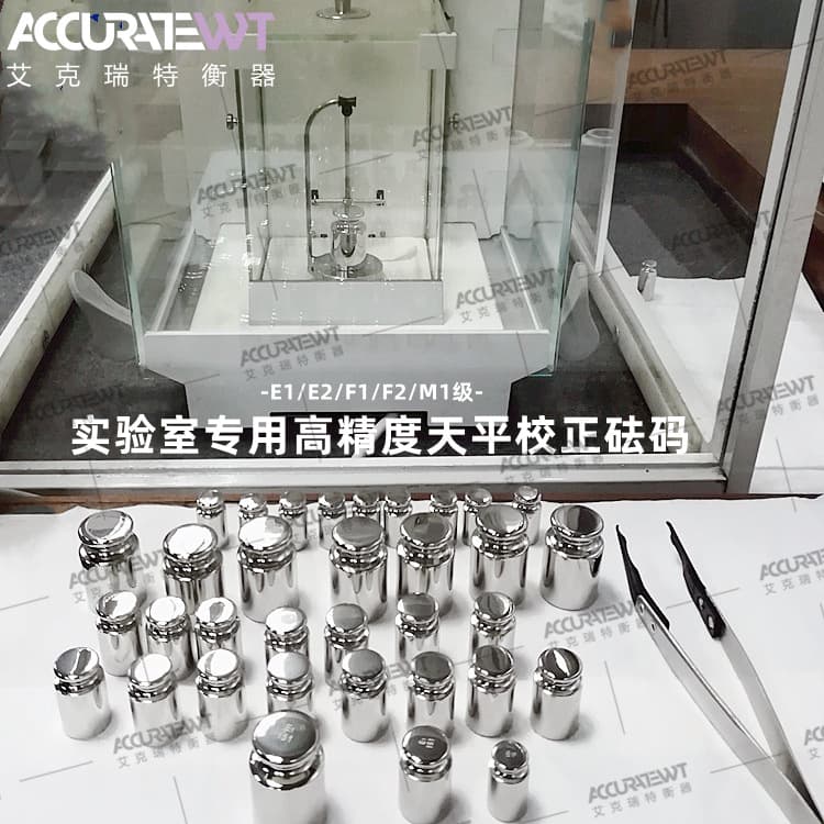 E2 Class Single Weight 1mg 5mg 20mg 1mg-100g 200g 500g 316L Non-Magnetic Balance Calibration Weight