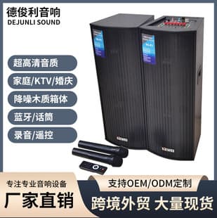 Dual 10-inch Stage Performance Bluetooth Speaker, Home Theater Party Wireless Sound System, Bar Concert Audio Equipment