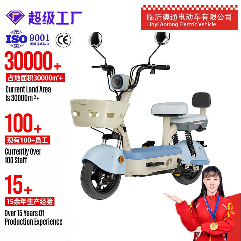 Wholesale Long Range Electric Scooter Two-Wheel Adult Female Battery Bike Small Commuter Power Assist Bicycle