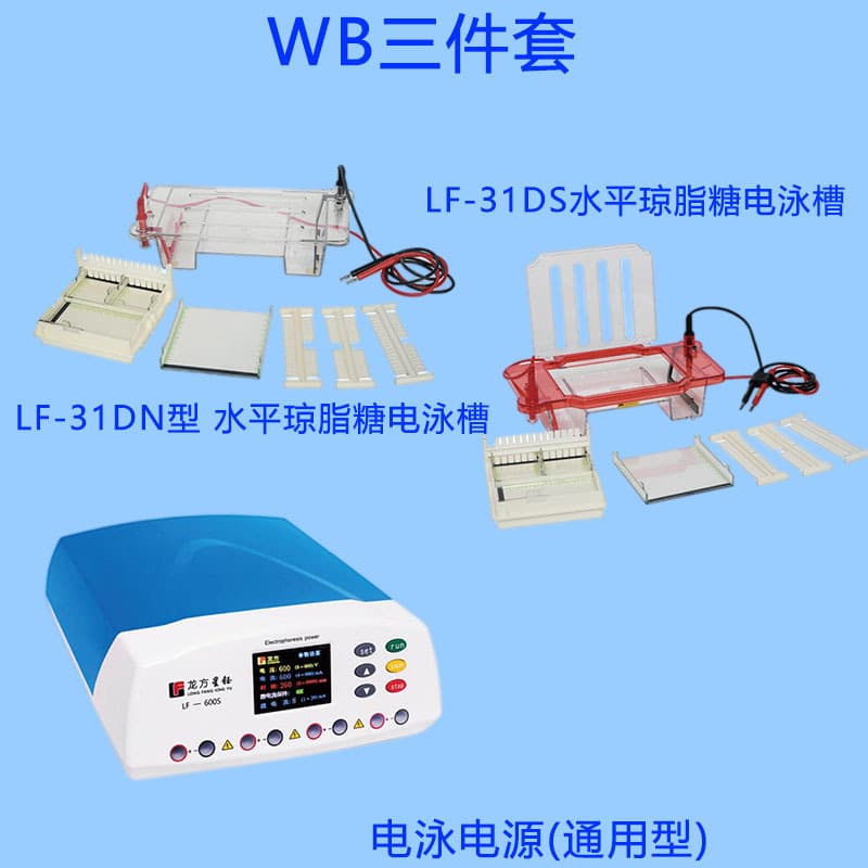 Horizontal Electrophoresis Tank Set LF-600S+31DN/31DS Constant Current Electrophoresis Apparatus Power Supply Combination Longfang Xingyu