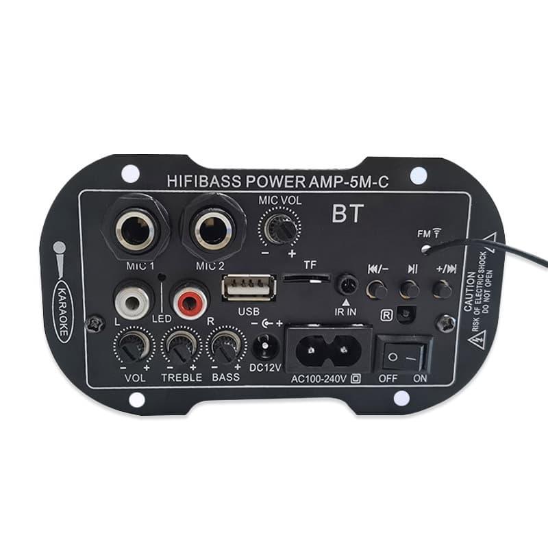 Custom Amplifier 5-Inch / Dual-Use / 366 Digital Amplifier 5-Inch with FM Radio 220V Dual-Use Card Slot Subwoofer