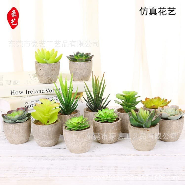 Simulation Green Succulent Plant Potted Hot Selling Cross-border E-commerce Manufacturer Wholesale Home Decoration Mini Ornament