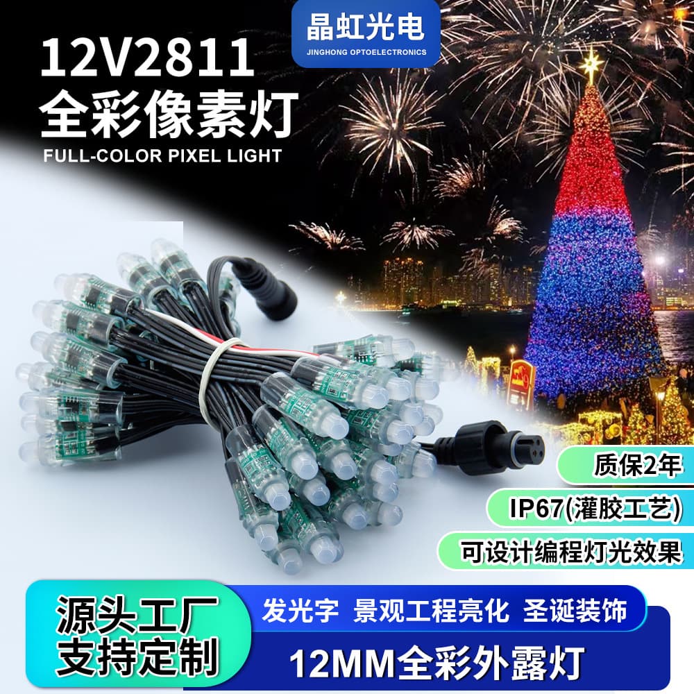 WS2811-12V Black Wire Potting Full Color Exposed Light Outdoor Decoration Pixel Light Christmas Tree Advertising Colorful Light String
