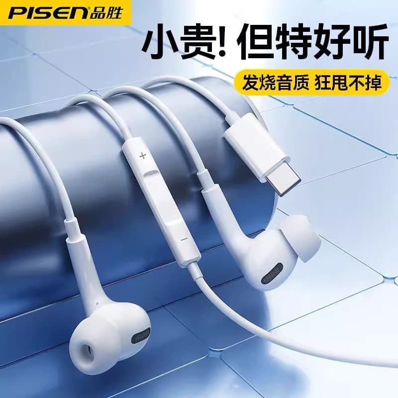 Pisen Wired In-Ear Digital High-Quality Earphone with Mic and Remote Control, HIFI, Type-C Interface for Computer