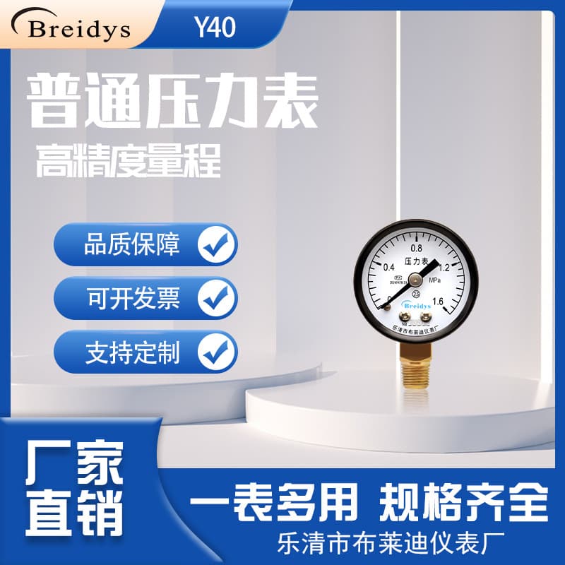 Direct from Manufacturer Y40 Standard Pressure Gauge, Pneumatic Pressure Gauge, Water Pressure Gauge 0-1.6MPa, Thread 1/8