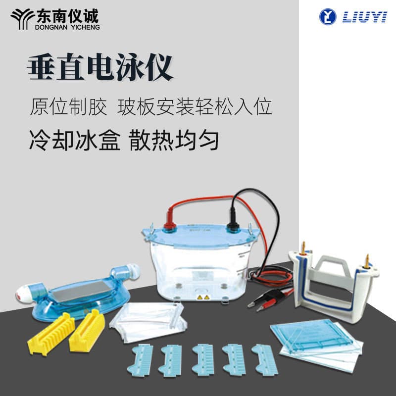 Liuyi Double-Plated Vertical Electrophoresis Apparatus DYCZ-24K for Laboratory Agarose Acrylamide Protein Gel Electrophoresis