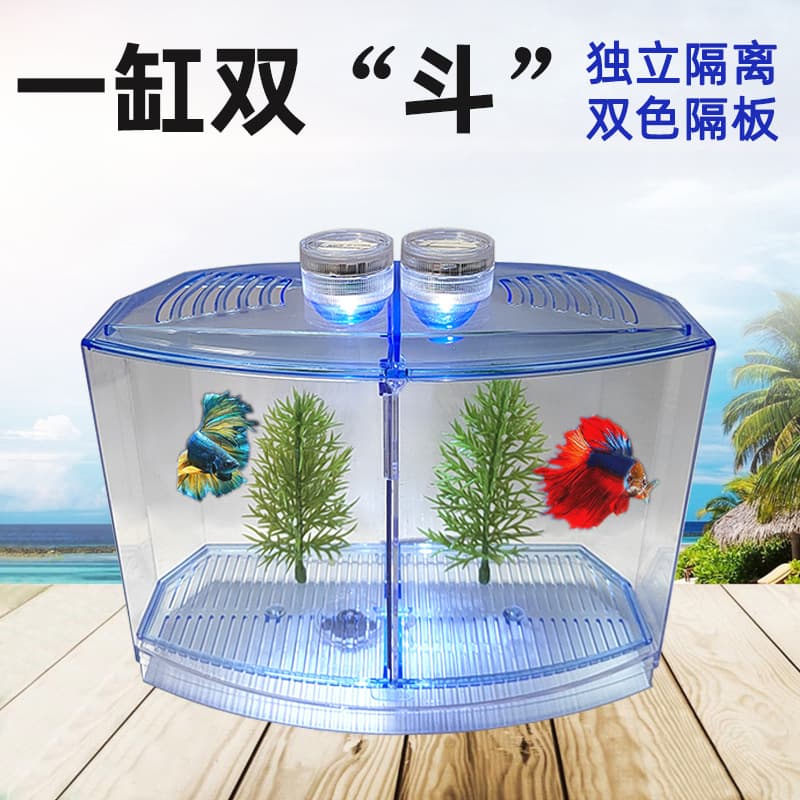 Betta Isolation Box Plastic Betta Box Aquarium Fish Tank Small Betta Tank Breeding Incubation Single Double Grid Fish Tank