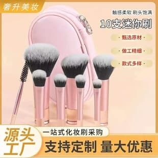 10-Piece Mini Makeup Brush Set, Powder Brush, Blush Brush, Eyeshadow Brush, Suitable for Beginners, Makeup Brush Set