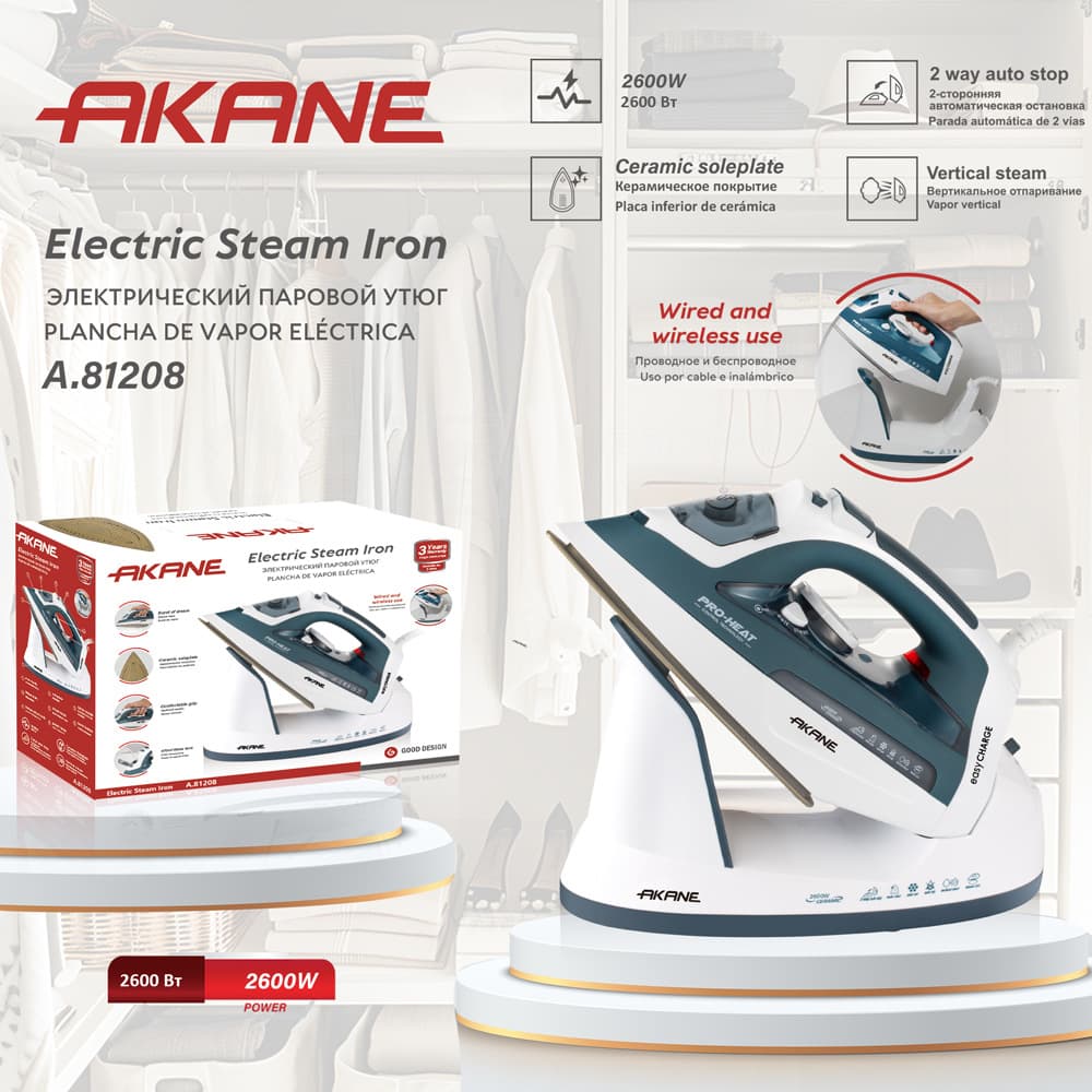 AKANE EU Plug High-Power 2-in-1 Handheld Steam Iron Flat Iron Detachable Steam Iron for Perler Beads