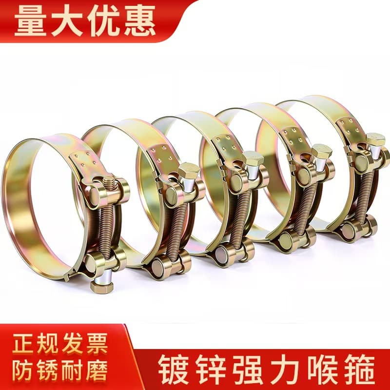 Hot-Dip Galvanized Strong Hose Clamp Buckle, Iron Galvanized Water Hose Clamp 17-252mm, Engineering Band Clamp, Pipe Clamp, Complete Specifications