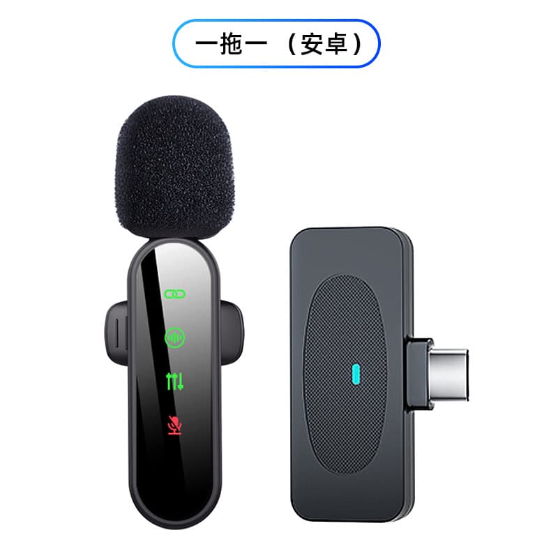 Wholesale H19 Lavalier Microphone Type-C Connector Outdoor Recording Noise-Reducing Mic for Short Video Recording