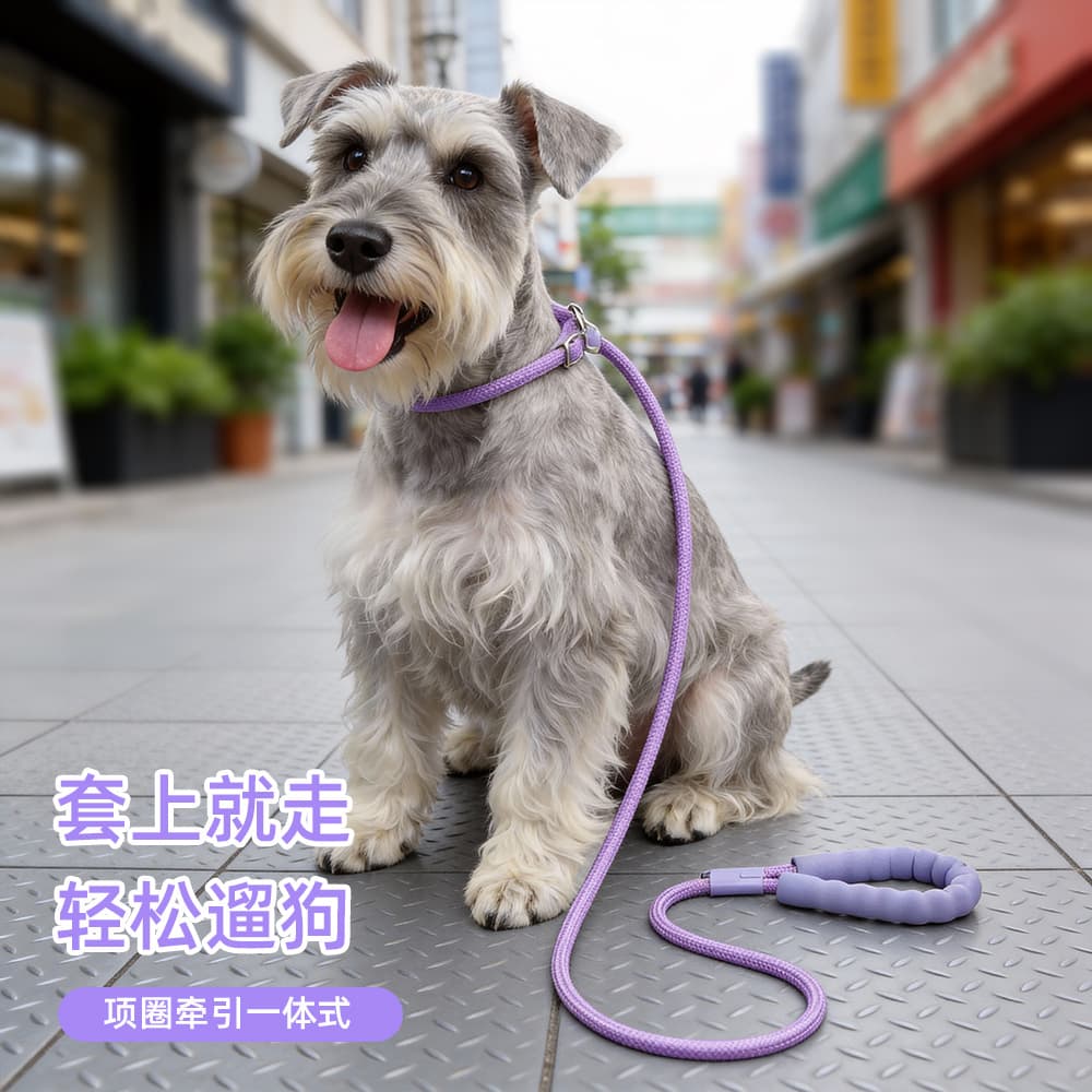 Dopamine Cross-Border Dog Leash Pet Supplies Traction Rope Colorful Nylon Round Rope Outdoor Dog Walking Rope Dog Leash