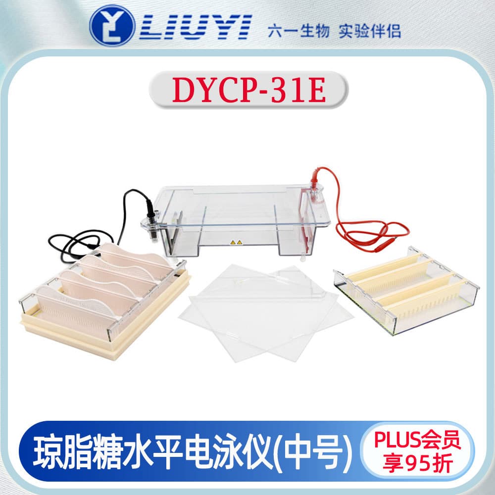 Beijing Liuyi DYCP-31E Agarose Horizontal Electrophoresis System, Medium Size for DNA Identification, Separation, and Preparation