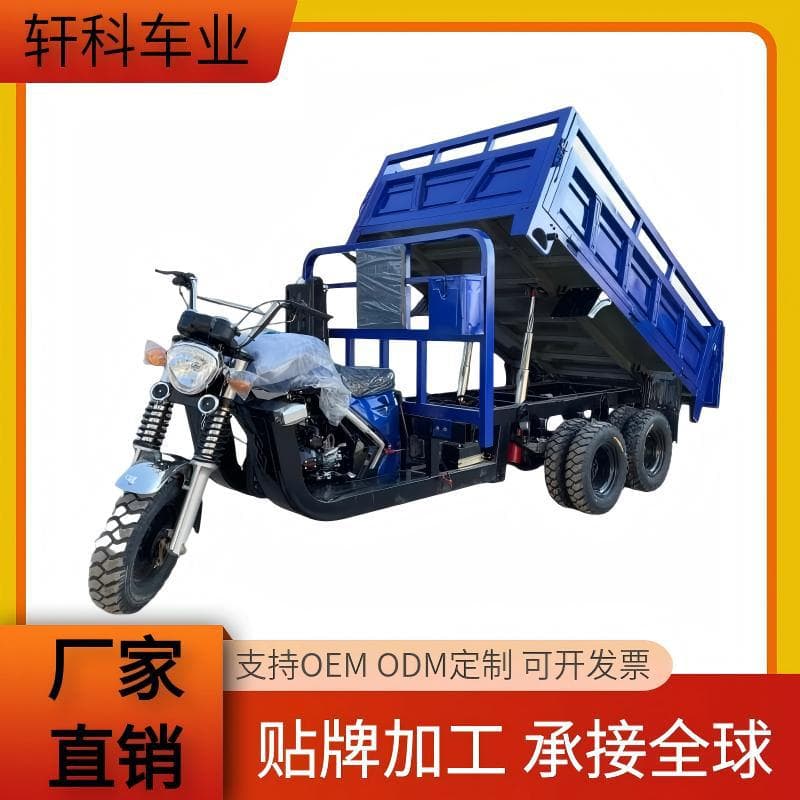 Africa Hot Selling Nine-Wheel Fuel Motorcycle Cargo Agricultural Dump Truck Gasoline Motorcycle Heavy-Duty Cross-Border