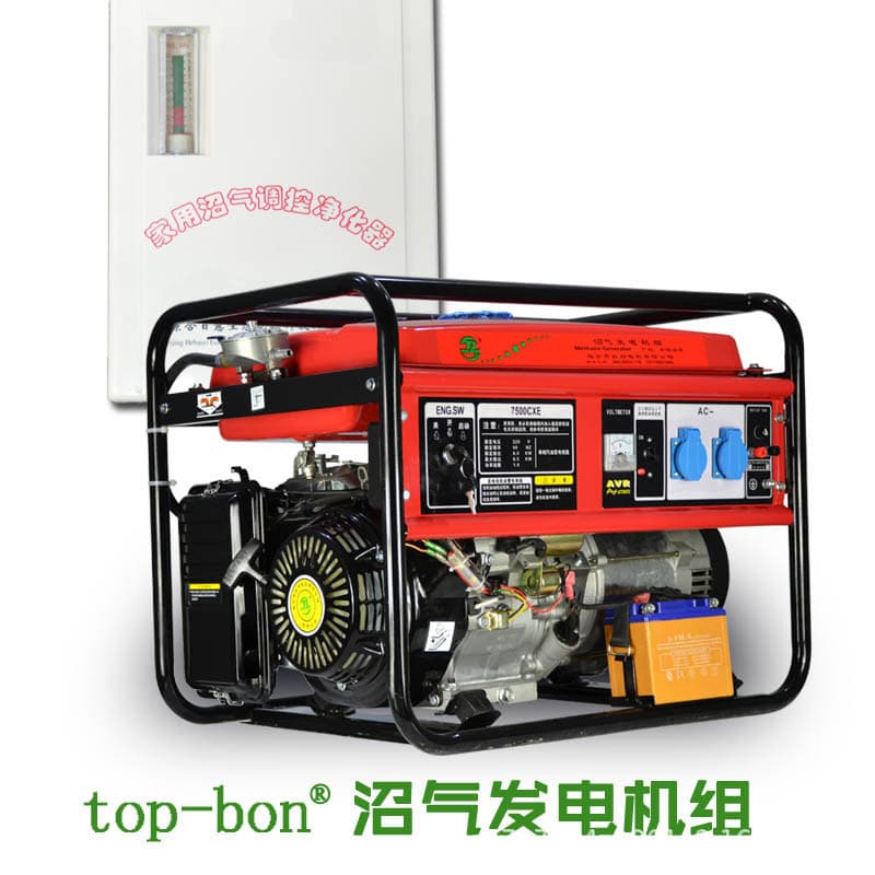 Biogas Generator Small Gas 220V Single-Phase 5000w Household 380v Three-Phase 10kw 8 Kilowatt for Farms
