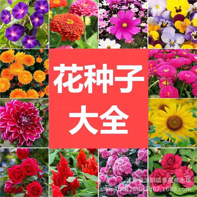 Zinnia, Cosmos, Sunflower, Hydrangea, Hollyhock, Baby's Breath, Lavender, Poppy, Lupine Seeds