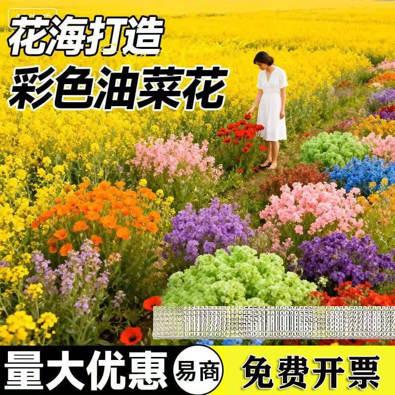 Colorful Rape Flower Seeds, Seven-Color Rape Seeds, Yellow Rape Seeds, Outdoor Garden Landscape Flower Sea, Flower Seeds, Grass Seeds