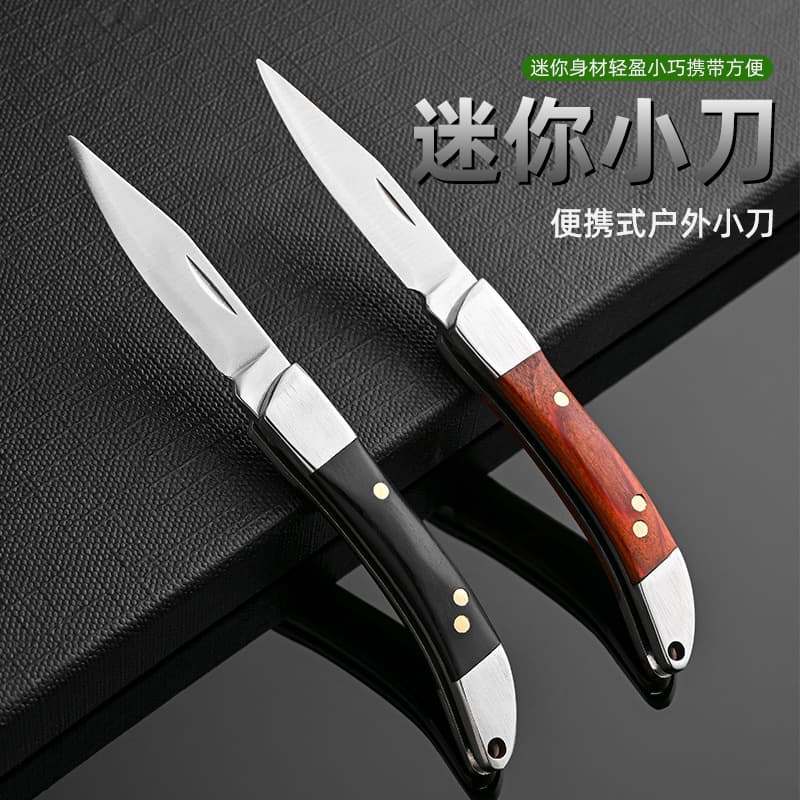 Mini Folding Stainless Steel Knife Portable Outdoor Fruit Knife Beautifully Designed Sharp Blade Compact Size Handy Tool