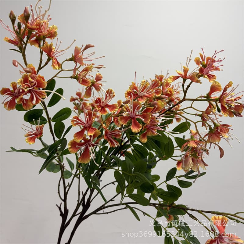 Iko poinciana flower fake flower silk flower art home decoration photography flower material indoor living room flower arrangement decoration artificial flower