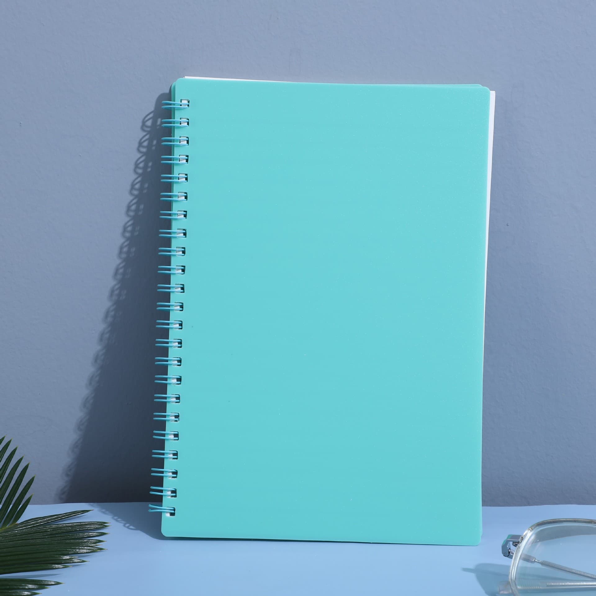 Transparent A5 Coil Notebook B5 Thick Notebook A4 Lined Grid Blank Loose-Leaf Notebook A6 Mini Notebook Wholesale
