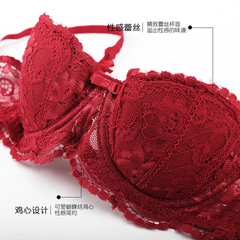 French Sexy Sheer Lace Half-Cup Bra Push-Up Small Bust Bra Pure White Japanese Style Girl Underwear