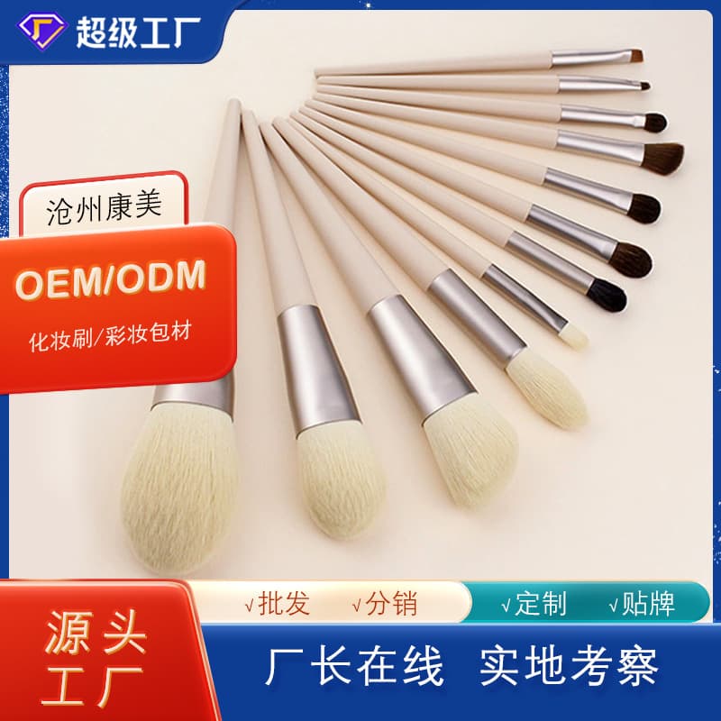 Cangzhou 12-Piece New Morandi Makeup Brush Set Soft Blush Brush Makeup Tools Setting Eyeshadow