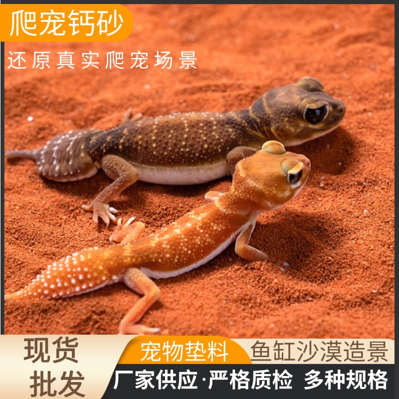 Reptile Calcium Sand, Desert-Type Pet Bedding, Calcium Sand for Bearded Dragons, Lizards, and Geckos, for Reptile Enclosure Landscaping, Moisture Absorption, and Deodorizing Sand