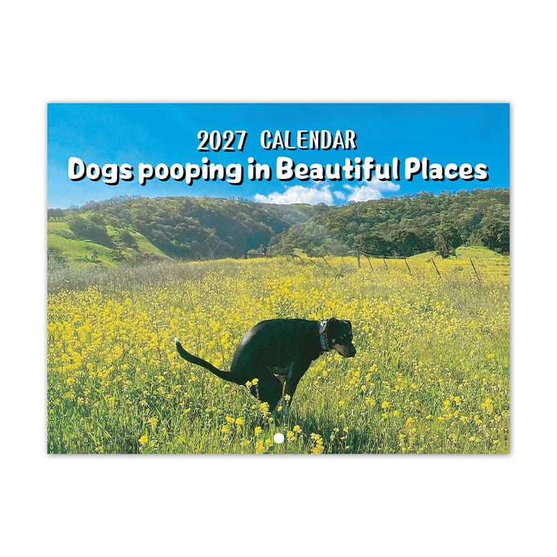 2027 cross-border dog poop calendar creative dog poop calendar wall calendar desk calendar ready-made collection