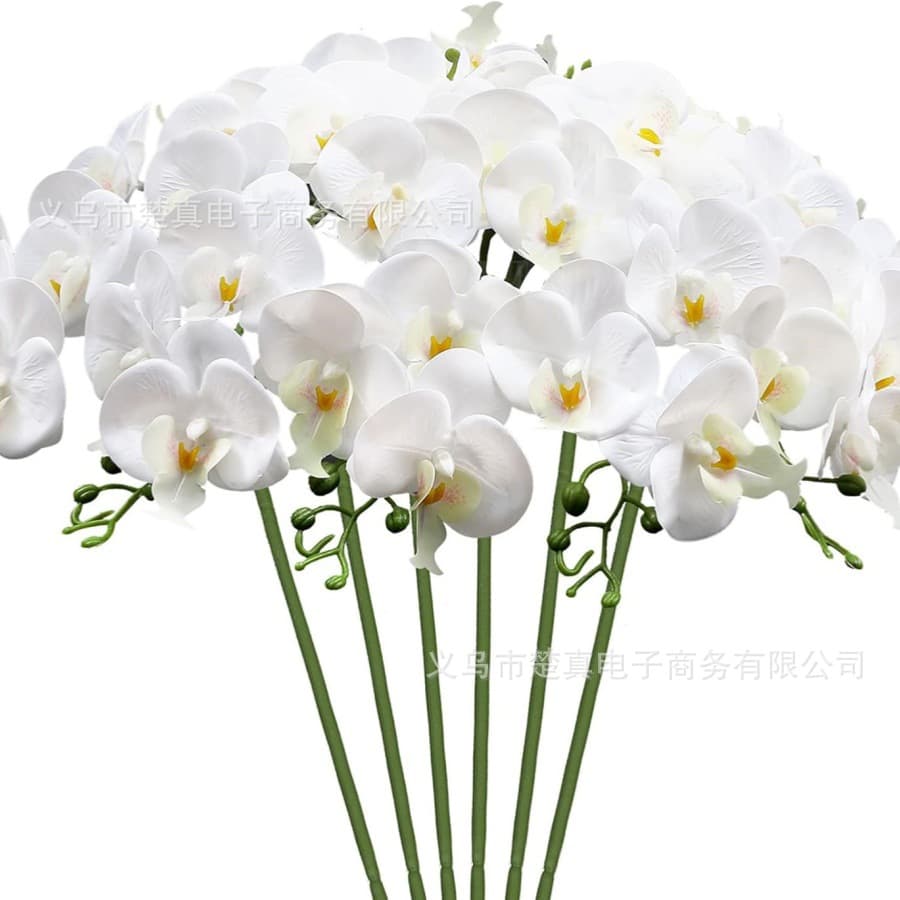Temu White Phalaenopsis Silk Artificial Flower for Living Room Dining Table Decoration Wedding Landscape Simulation Flowers
