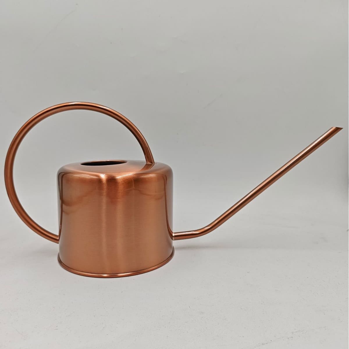 1L Stainless Steel Watering Can // Long Spout Flower Watering Can / Watering Can / 1L Watering Can