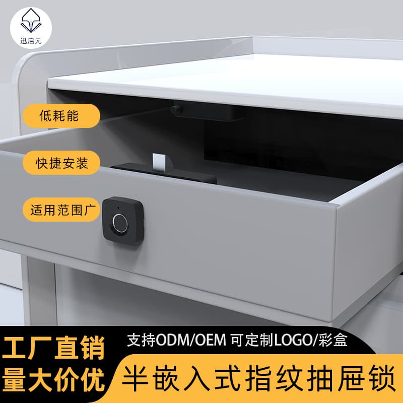 No-Drill Semi-Flush Mount Smart Lock Fingerprint Drawer Lock Wardrobe Lock Door Lock Double Door Lock