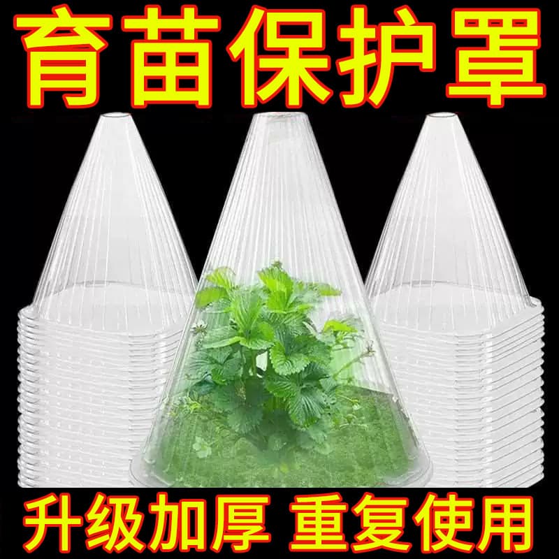 Seedling protective cover for vegetable planting, agricultural blister packaging, plant seedling windproof, cold-proof, frost-proof protective cover, heat insulation cover